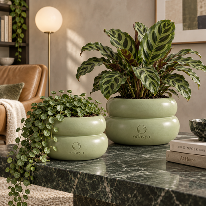 Orlavyn® Sage Green Halo Planter