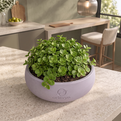 Orlavyn® Soft Lilac Low Basin Planter