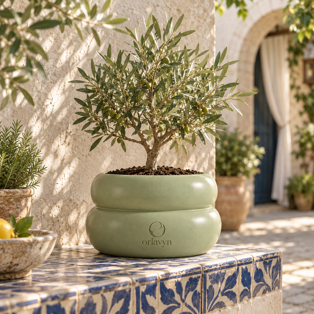 Orlavyn® Sage Green Halo Planter