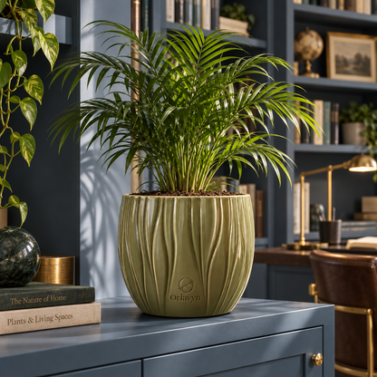 Orlavyn® Olive Green Flow Rib Planter