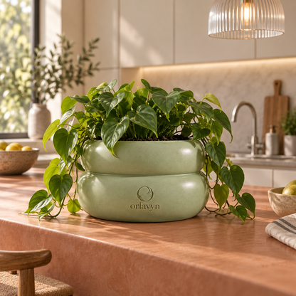 Orlavyn® Sage Green Halo Planter