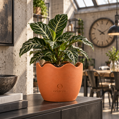 Orlavyn® Terracotta Wave Edge Planter